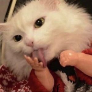 Meet your Posher, Aidan